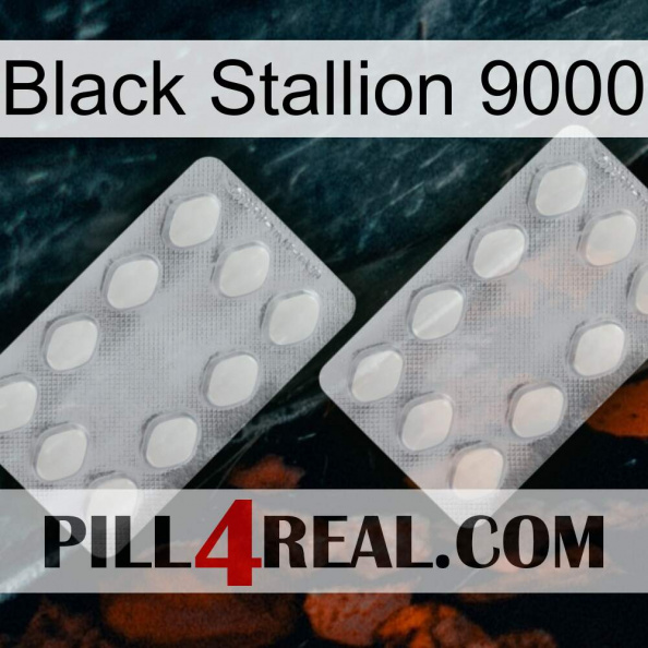 Black Stallion 9000 17.jpg